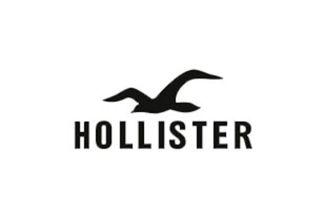 Hollister and Co. Customer Experience Survey http www.tellhco